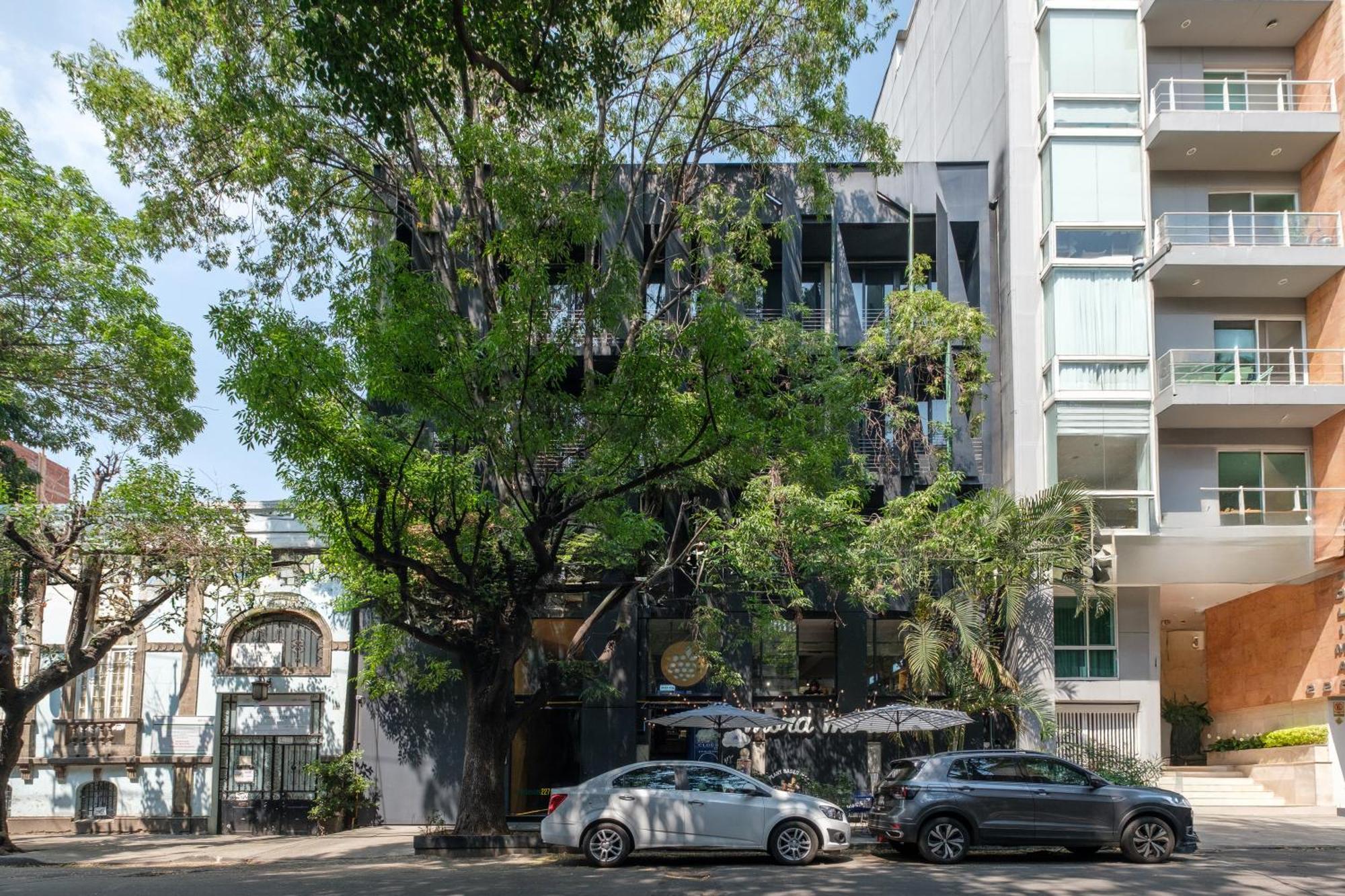 Boga Mexico City By Lumina Zewnętrze zdjęcie